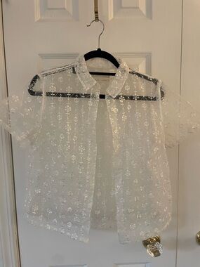 Urban Outfitters White Sheer Embroidered Button-Down Shirt